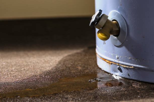 Best Water damage restoration cost  in Albertson, NY