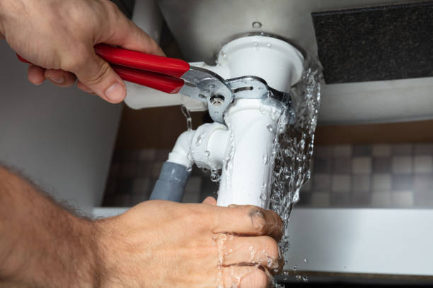 Best Flood damage cleanup  in Albertson, NY