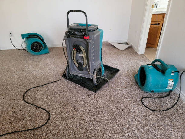 Best 24-hour water damage restoration  in Albertson, NY