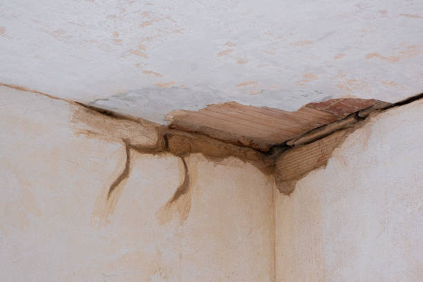  Albertson, NY Water damage restoration Pros