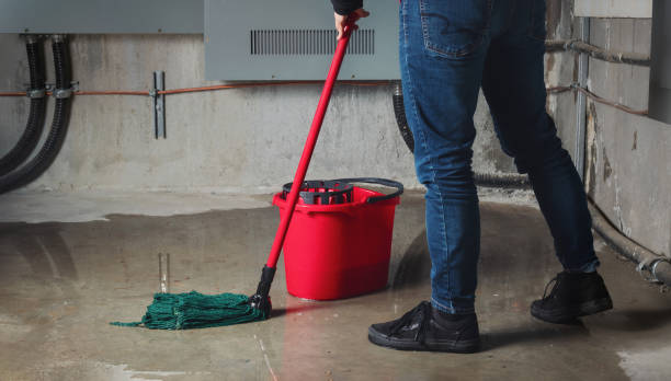 Best 24/7 water damage repair  in Albertson, NY