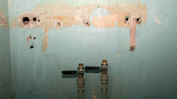 Best Fire Damage Restoration  in Albertson, NY