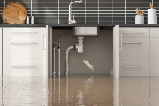 Best Sewage cleanup and water damage restoration  in Albertson, NY