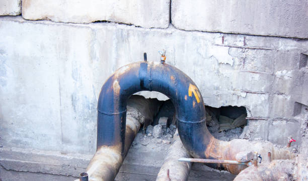 Best Carpet water damage restoration  in Albertson, NY