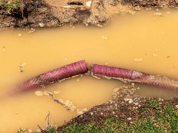 Best Emergency water damage restoration  in Albertson, NY